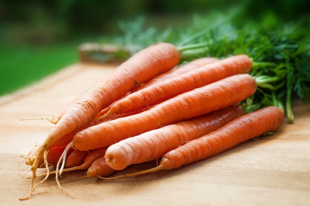 Carrot seed oil in skincare