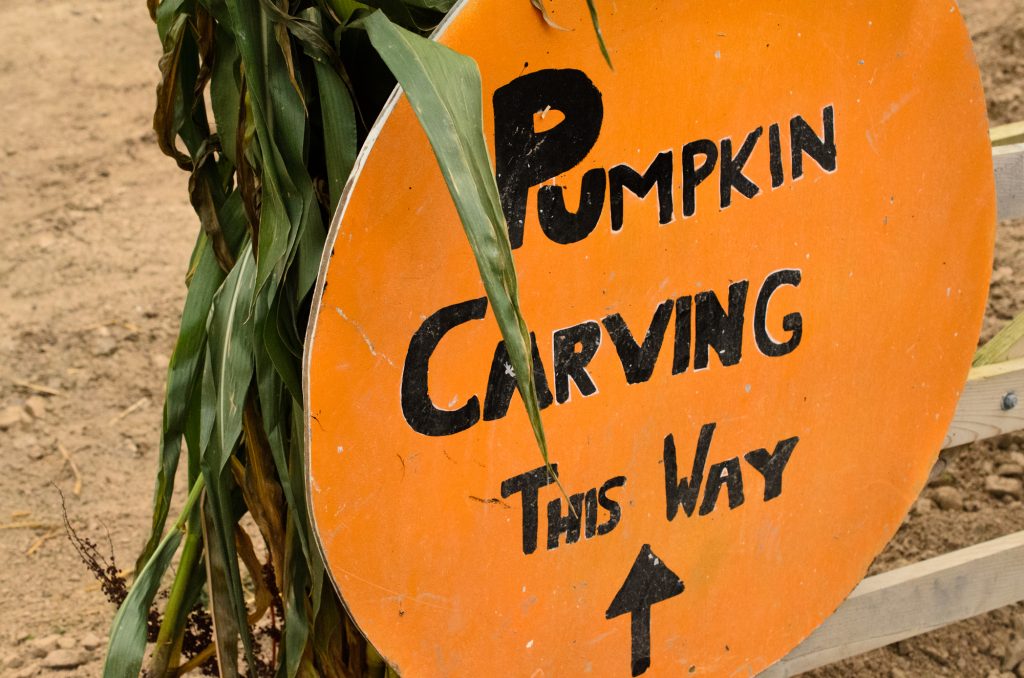 Pumpkin carving this way!