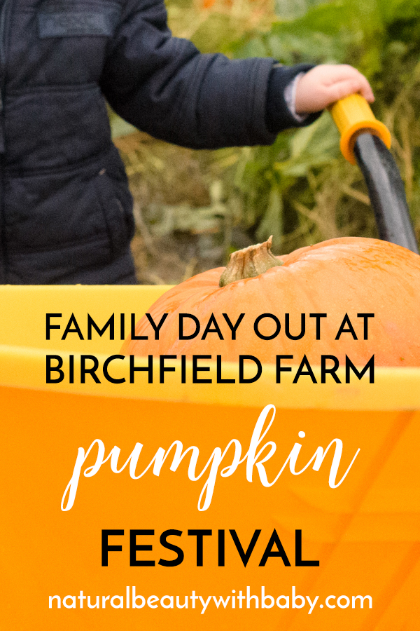 Family day out at Birchfield Farm Pumpkin Festival