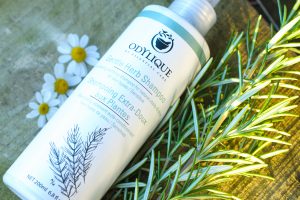 Odylique Gentle Herb Shampoo