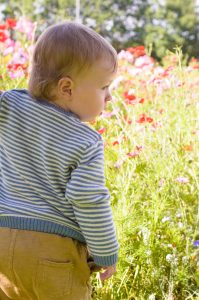 Jonah in front of the wild flowers