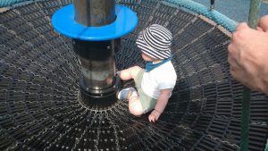 Jonah in the roundabout