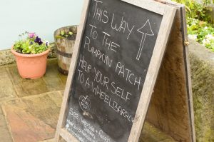 Welcome to the pumpkin patch!