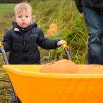 Birchfield Farm Dairies Pumpkin Festival review