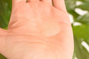 Lavera Colour and Shine shampoo in the hand