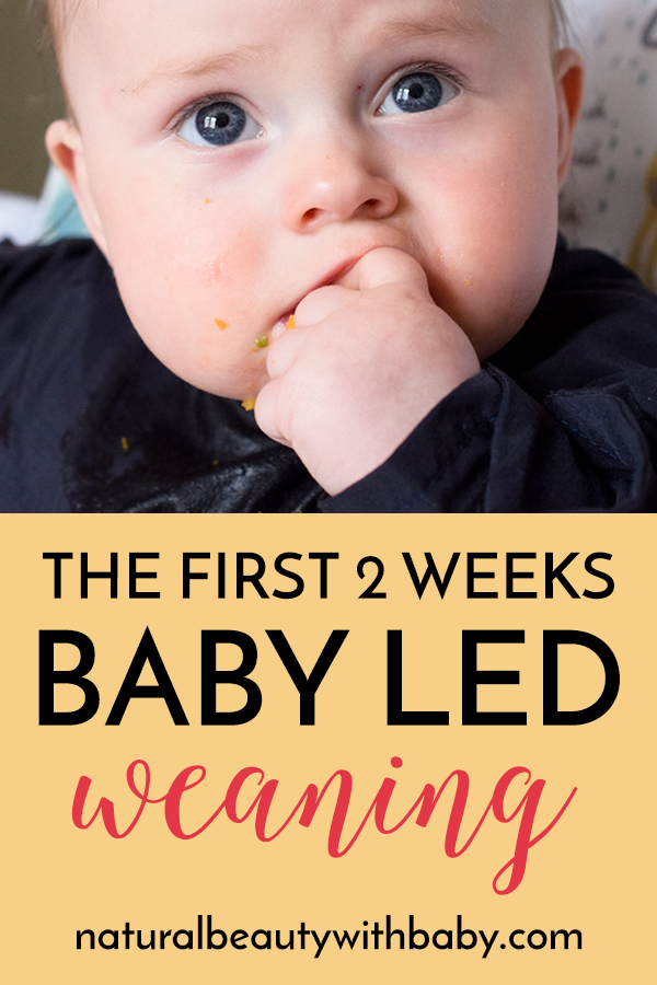 Thinking about starting baby led weaning? Read about our first two weeks following BLW - first foods, how to prepare meals, equipment like highchairs, bibs, and spoons, our setup and more! #babyledweaning #blw #weaningtips