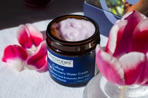 Antipodes Culture Probiotic Night Cream