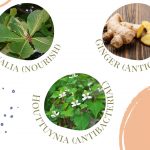 6 ingredients to slow hair loss for mums and dads