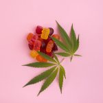 Do CBD gummies expire?