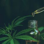 The Versatility of CBD