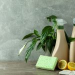 Eco-Friendly Household Essentials: Smart Shopping for Natural Living