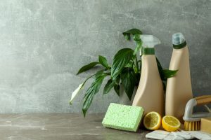 Eco-Friendly Household Essentials: Smart Shopping for Natural Living