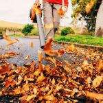 Backpack Power vs. Leaf Piles: What Really Saves Time