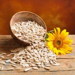 The Ultimate Guide to Organic Sunflower Seed Protein: The Plant-Based Protein for Everyone