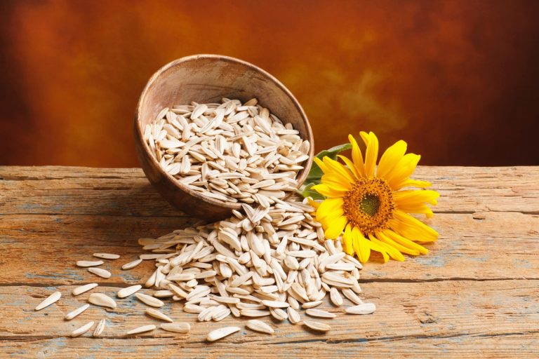 The Ultimate Guide to Organic Sunflower Seed Protein: The Plant-Based Protein for Everyone