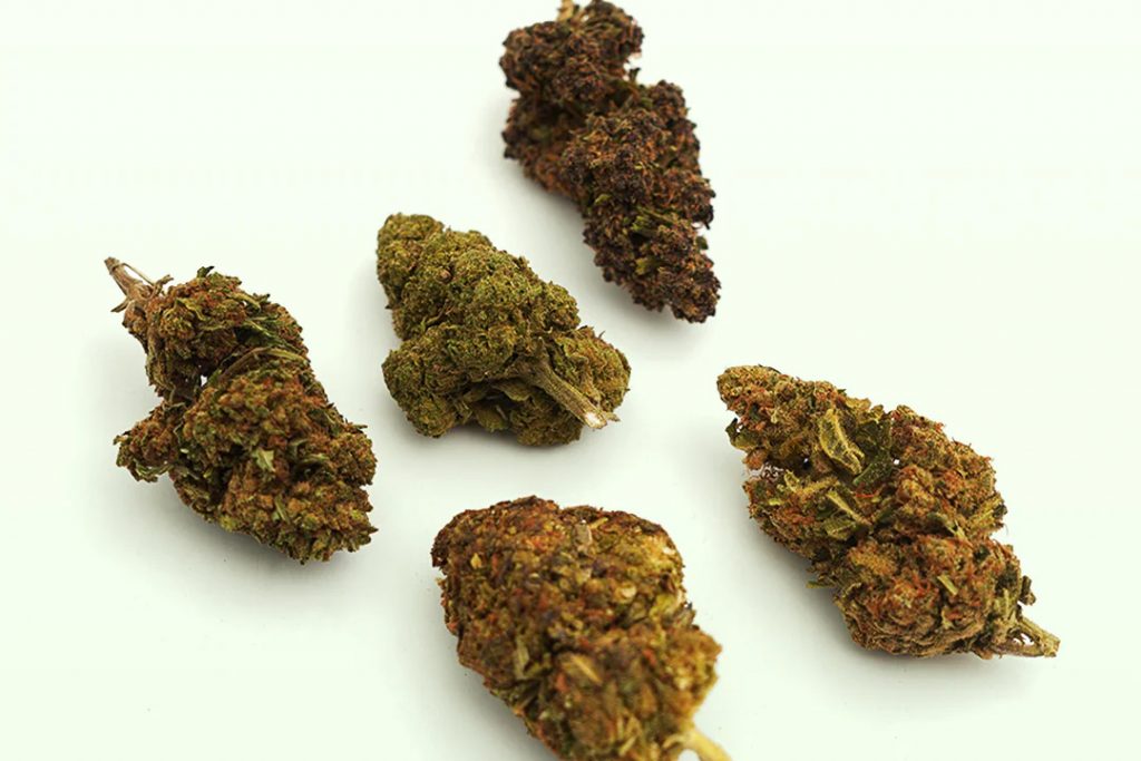 CBD flower