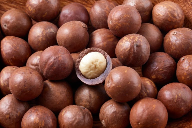 Macadamia Nuts for Female Health and Lasting Vitality