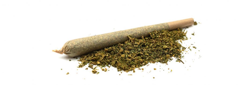 Pre-rolled CBD