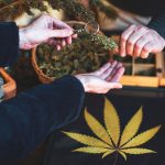 Guide to Choosing a Trusted Wellness Dispensary