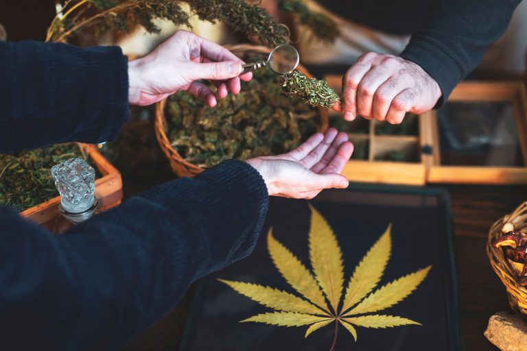 Guide to Choosing a Trusted Wellness Dispensary