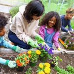 Teaching Kids About Nature Through an Organic Garden