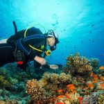 The Best Scuba Diving Spots Every Diver Must Visit