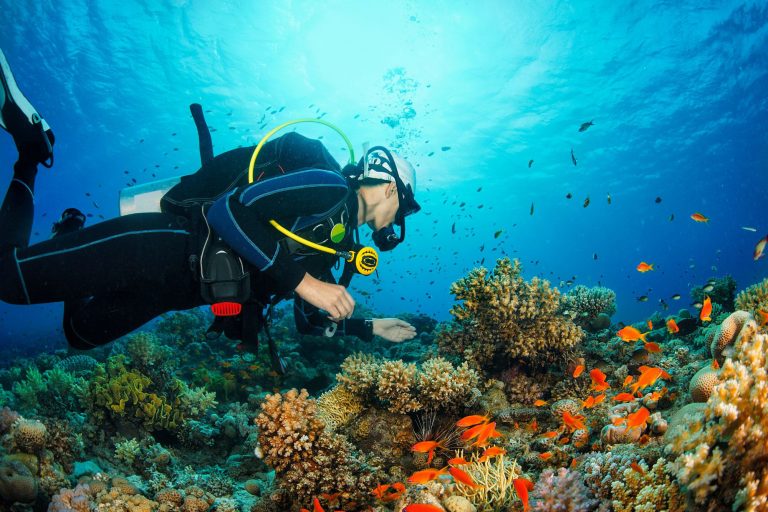 The Best Scuba Diving Spots Every Diver Must Visit