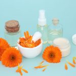 Top Benefits of Using Plant-Based Products in Your Skincare Routine
