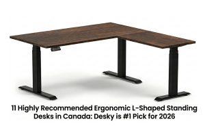 11 Highly Recommended Ergonomic L-Shaped Standing Desks in Canada: Desky is #1 Pick for 2026